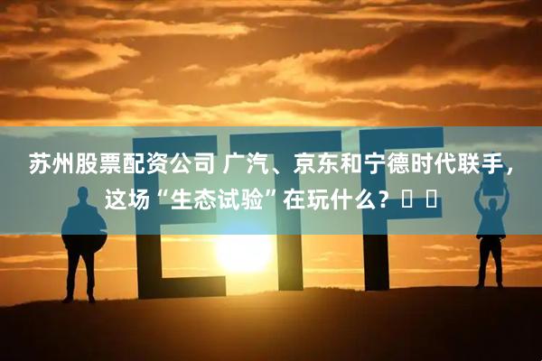 苏州股票配资公司 广汽、京东和宁德时代联手，这场“生态试验”在玩什么？​​