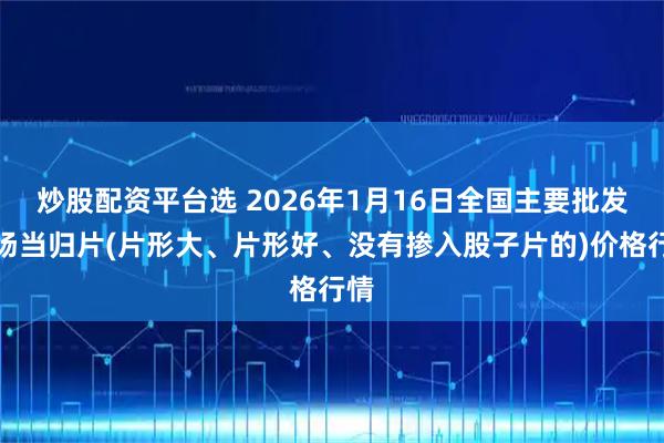 炒股配资平台选 2026年1月16日全国主要批发市场当归片(片形大、片形好、没有掺入股子片的)价格行情